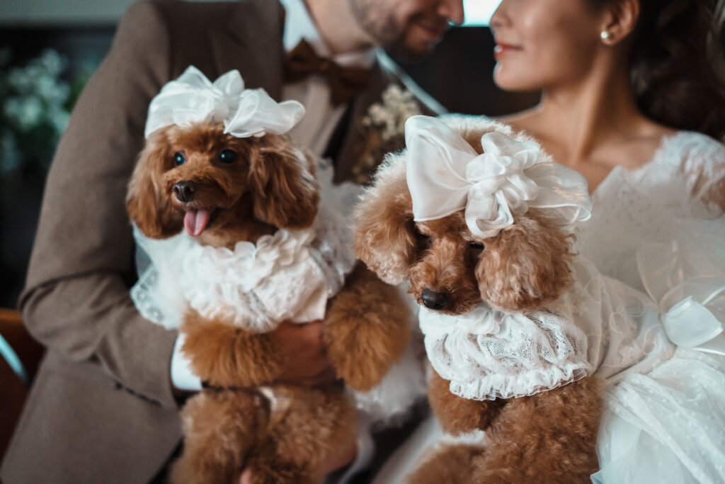 家族みんなで幸せになる日☆ペットwedding☆
