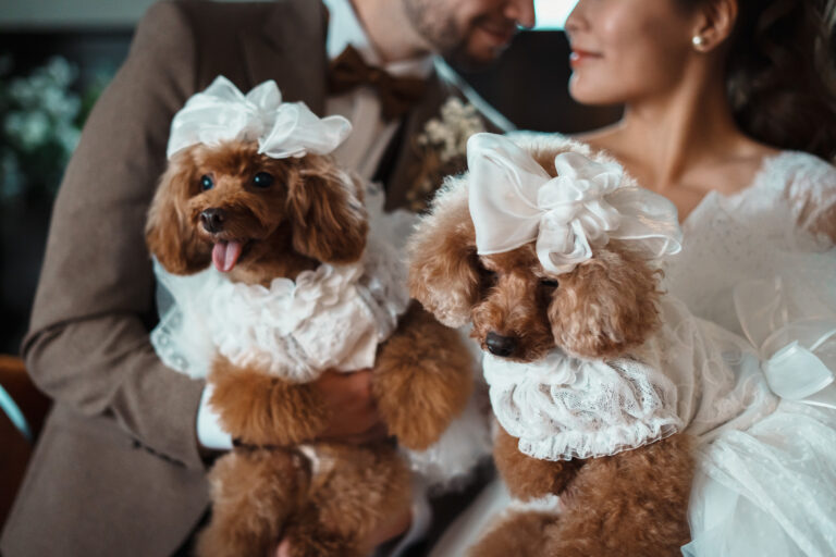 家族みんなで幸せになる日☆ペットwedding☆