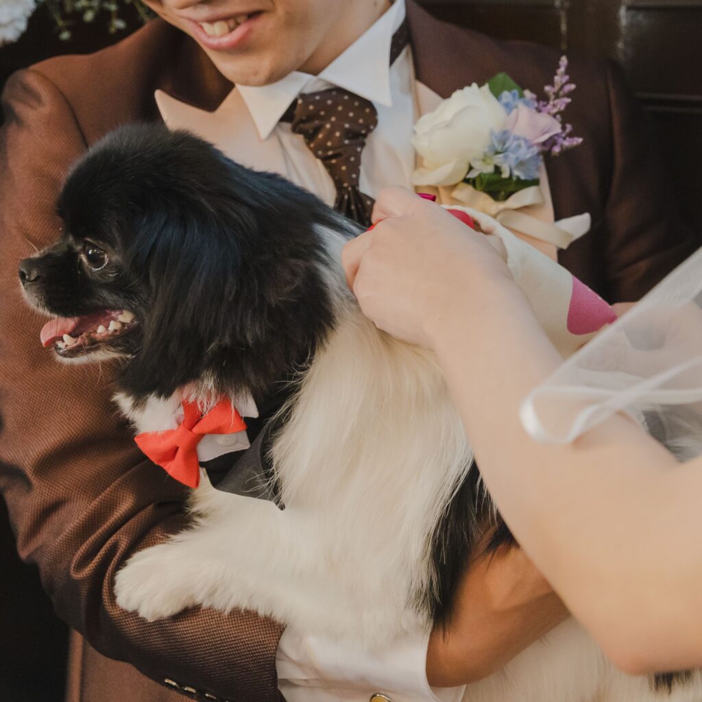 *Wedding Report*